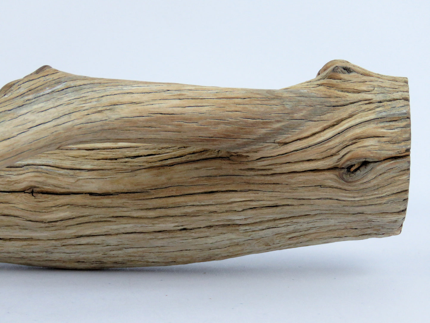 Fish Tank Decor,(15"), Manzanita Branches, Aquarium Decor, Vivarium Decor, Manzanita Driftwood, Driftwood Decor