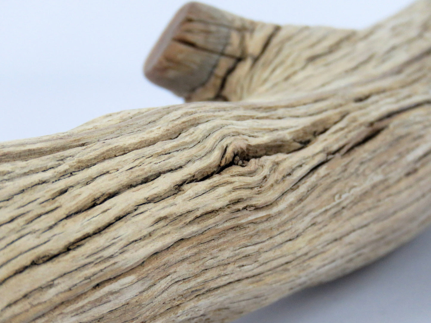 Fish Tank Decor,(15"), Manzanita Branches, Aquarium Decor, Vivarium Decor, Manzanita Driftwood, Driftwood Decor