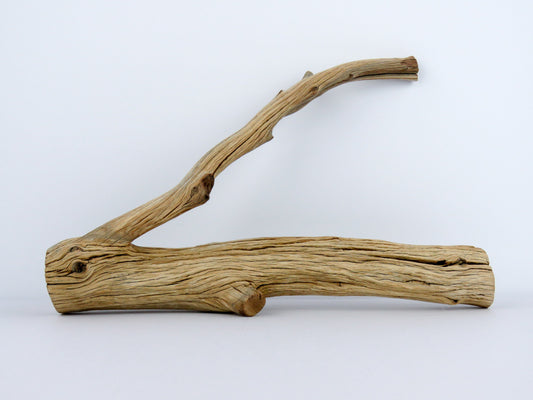 Manzanita Driftwood