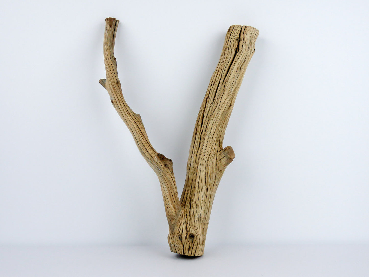 Fish Tank Decor,(15"), Manzanita Branches, Aquarium Decor, Vivarium Decor, Manzanita Driftwood, Driftwood Decor