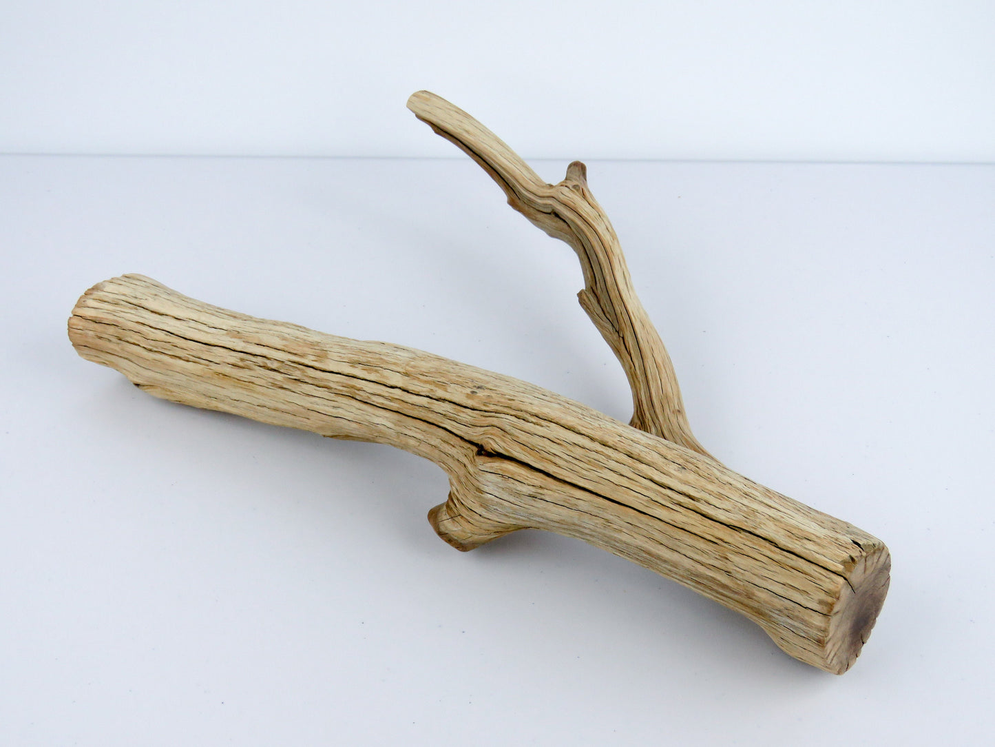 Fish Tank Decor,(15"), Manzanita Branches, Aquarium Decor, Vivarium Decor, Manzanita Driftwood, Driftwood Decor