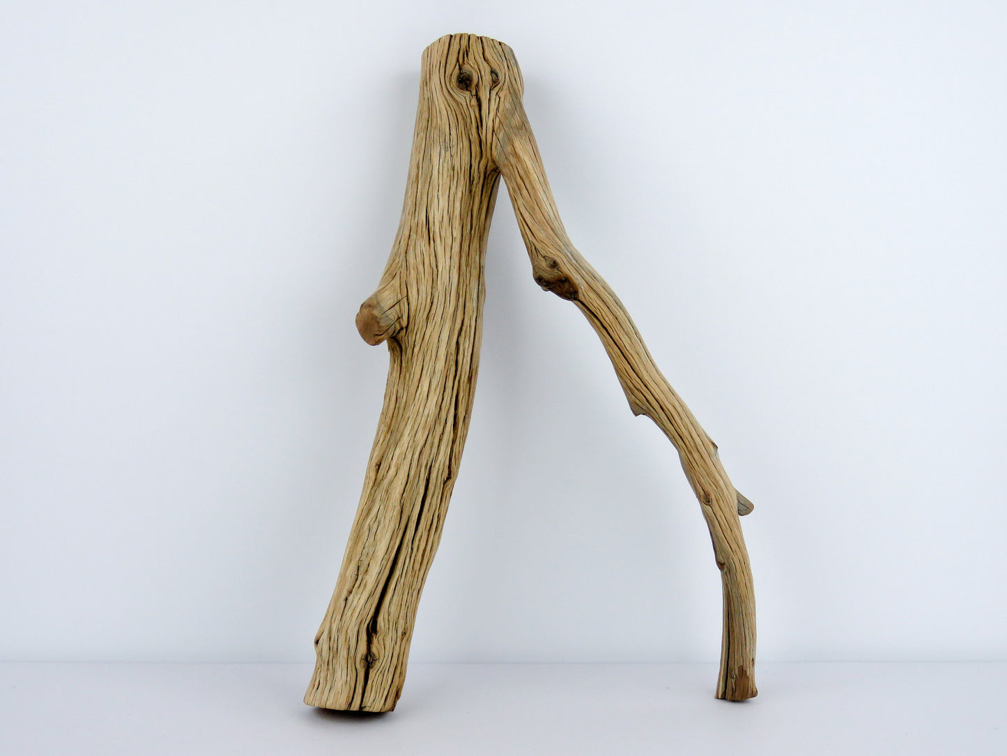 Fish Tank Decor,(15"), Manzanita Branches, Aquarium Decor, Vivarium Decor, Manzanita Driftwood, Driftwood Decor