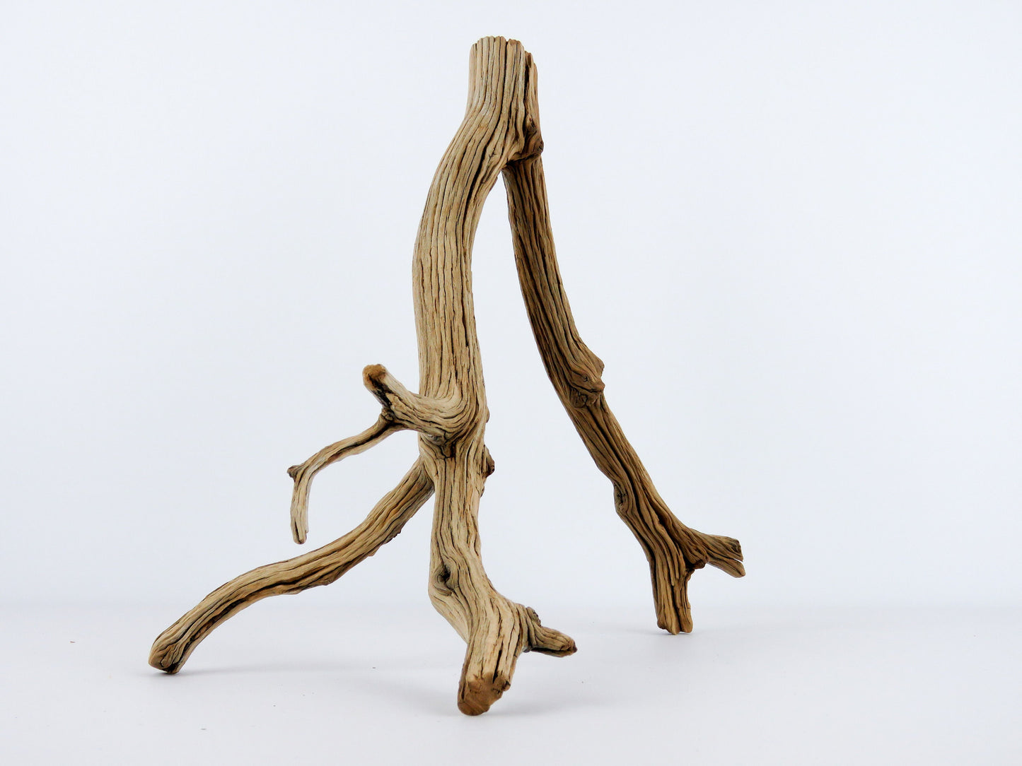 Reptile Tank Decor, (11" long), Aquarium Driftwood, Manzanita Branches, Manzanita Driftwood, Fish Decor, Terrarium Decor, Vivarium Decor