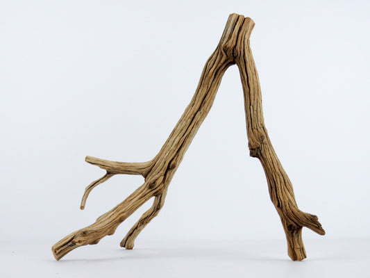 Manzanita Driftwood