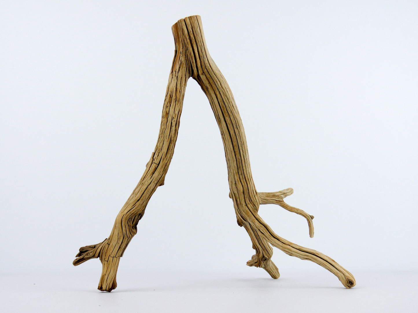Reptile Tank Decor, (11" long), Aquarium Driftwood, Manzanita Branches, Manzanita Driftwood, Fish Decor, Terrarium Decor, Vivarium Decor