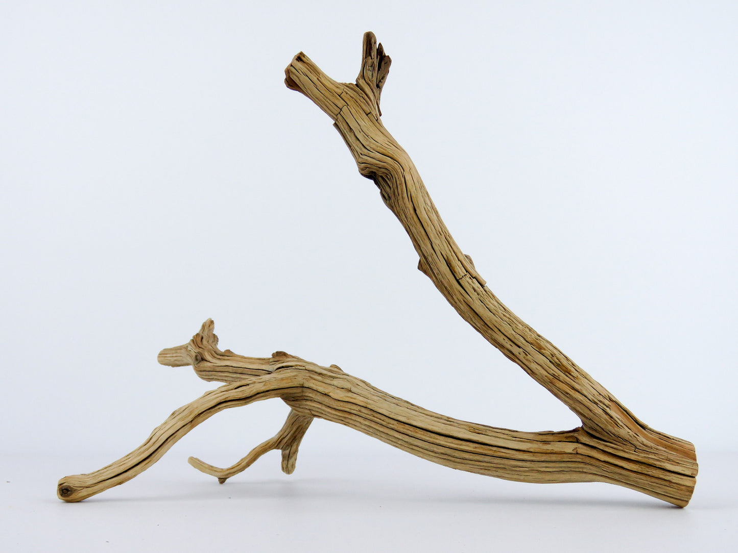 Reptile Tank Decor, (11" long), Aquarium Driftwood, Manzanita Branches, Manzanita Driftwood, Fish Decor, Terrarium Decor, Vivarium Decor