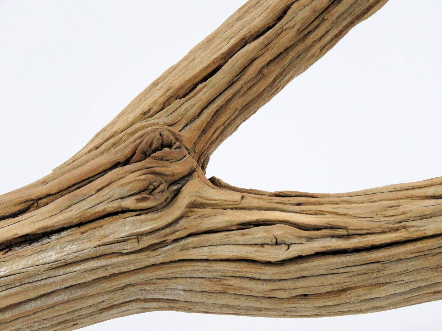 Reptile Tank Decor, (11" long), Aquarium Driftwood, Manzanita Branches, Manzanita Driftwood, Fish Decor, Terrarium Decor, Vivarium Decor