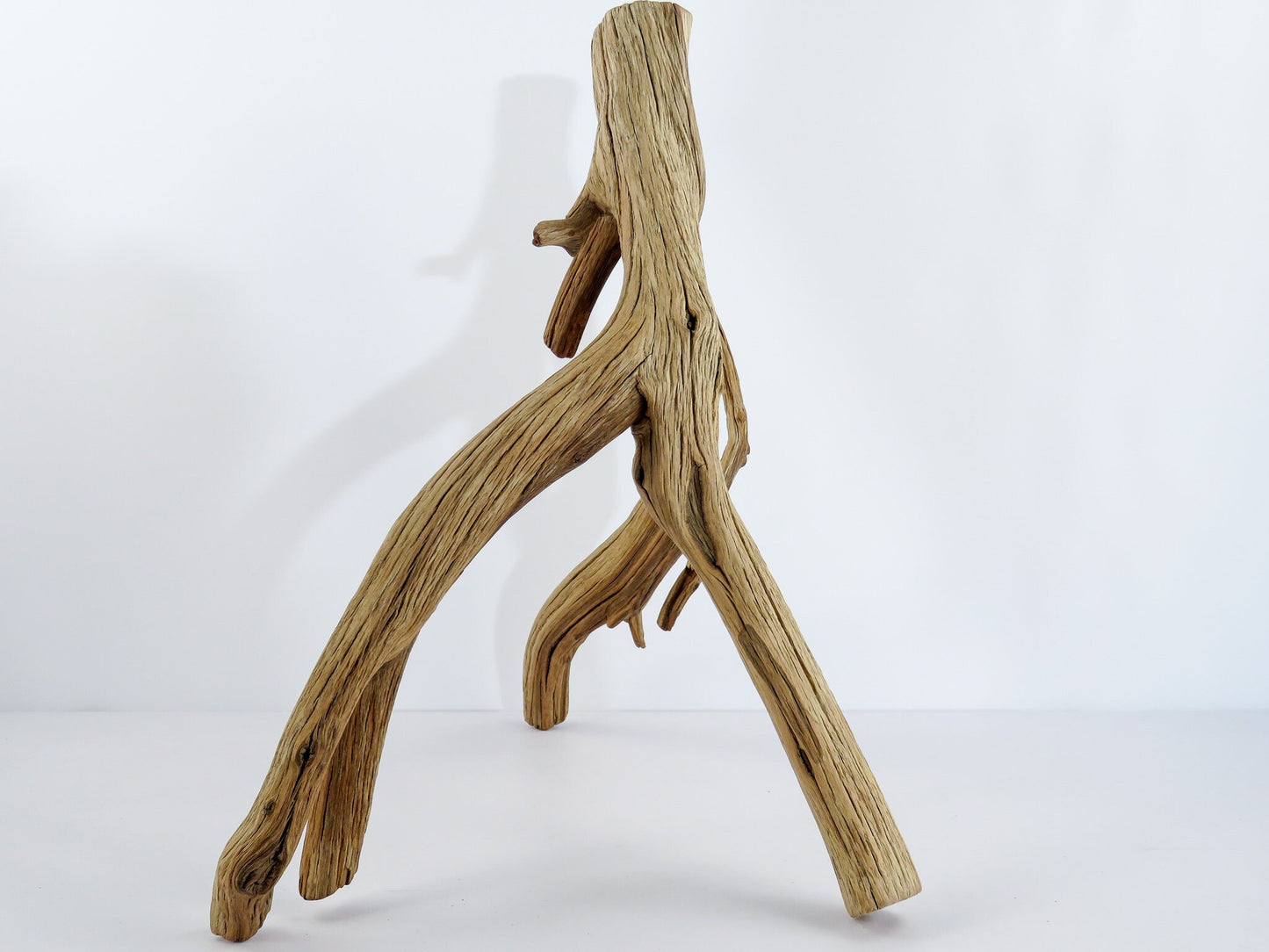 Large Arizona Manzanita Branches, (17"), Aquarium Driftwood, Fish Tank Decor, Reptile Tank Decor, Terrarium Decor, Vivarium Decor