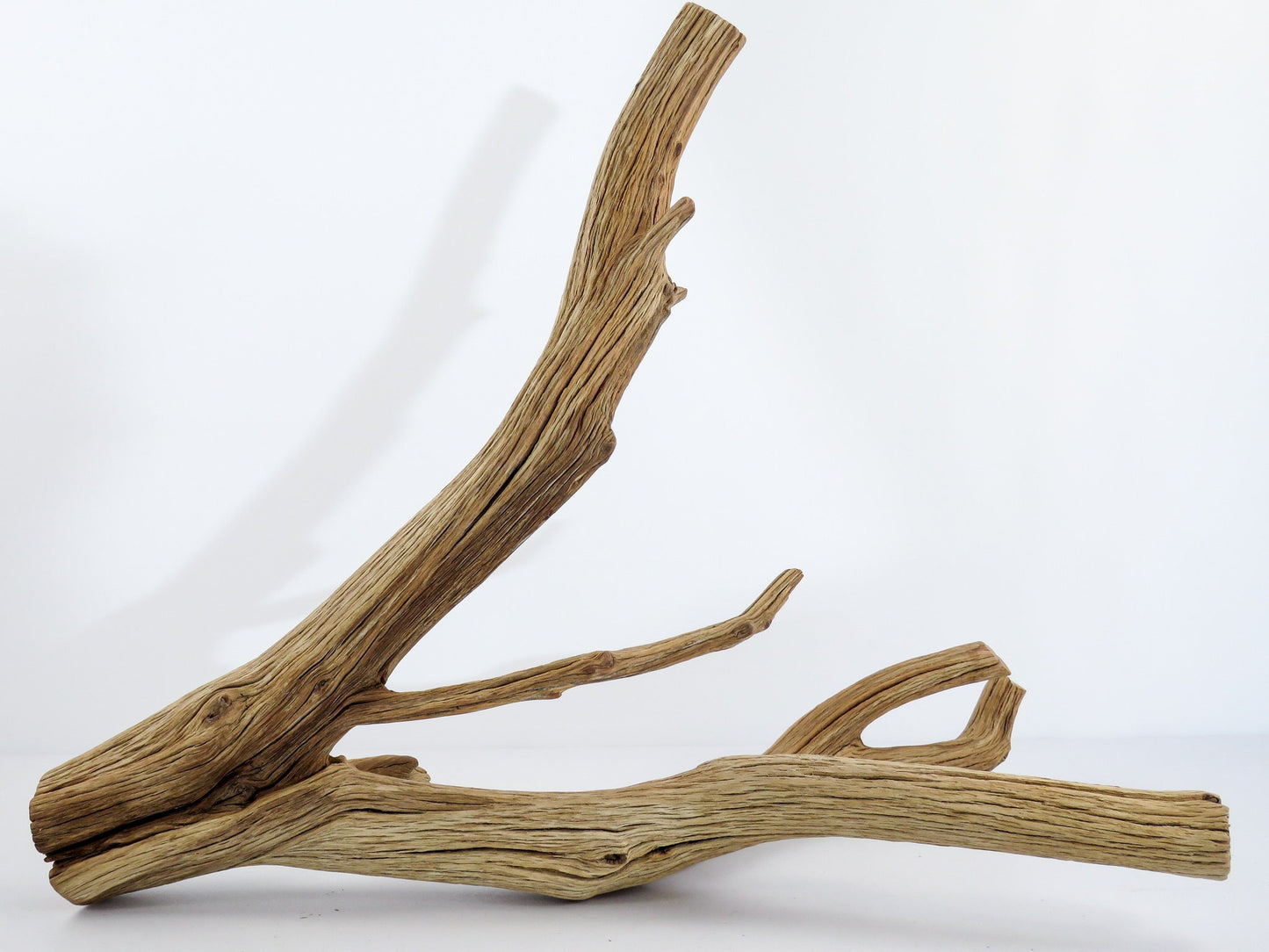 Large Arizona Manzanita Branches, (17"), Aquarium Driftwood, Fish Tank Decor, Reptile Tank Decor, Terrarium Decor, Vivarium Decor