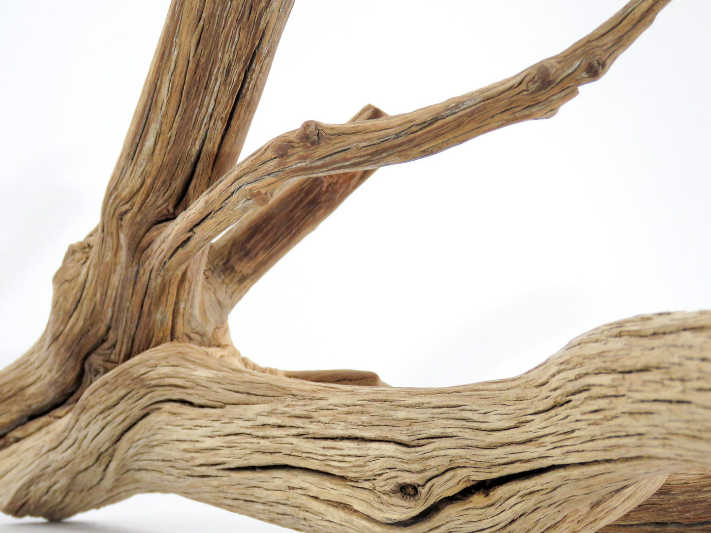 Large Arizona Manzanita Branches, (17"), Aquarium Driftwood, Fish Tank Decor, Reptile Tank Decor, Terrarium Decor, Vivarium Decor