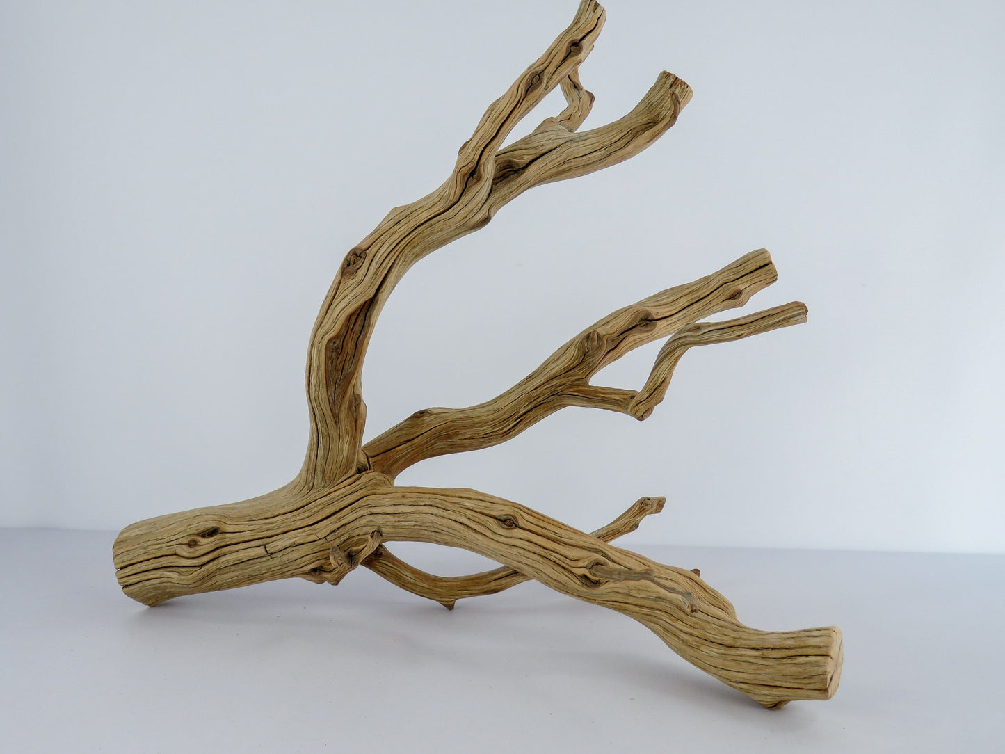 Large Arizona Manzanita Branch (20"), Aquarium Driftwood, Fish Tank Decor, Reptile Tank Decor, Terrarium Decor, Vivarium Decor