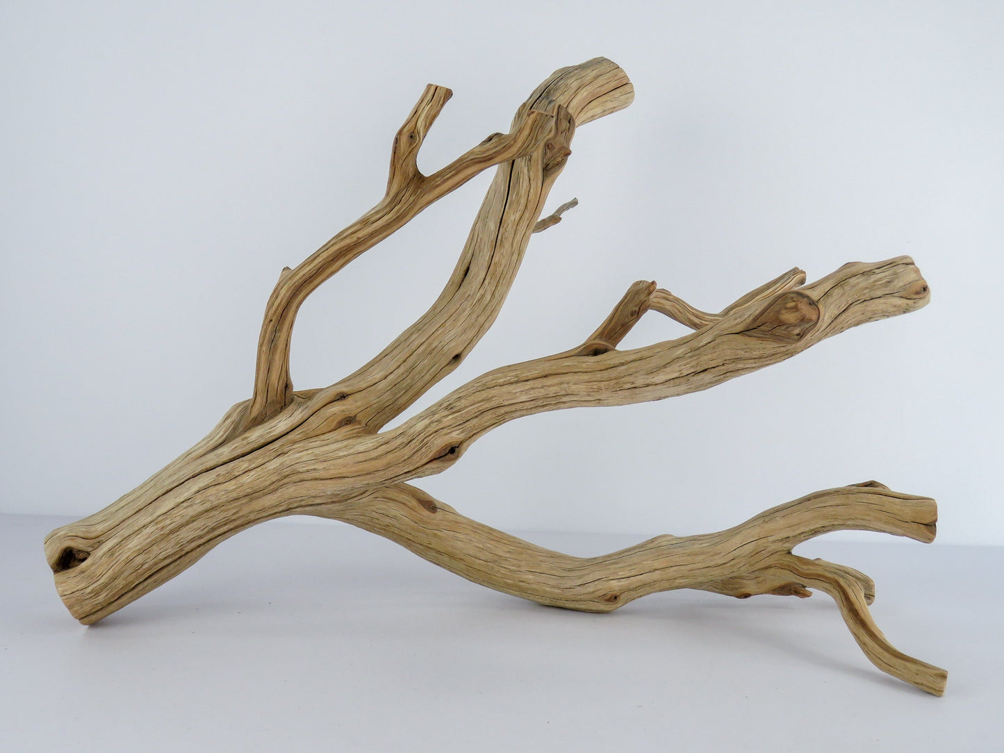 Large Arizona Manzanita Branch (20"), Aquarium Driftwood, Fish Tank Decor, Reptile Tank Decor, Terrarium Decor, Vivarium Decor