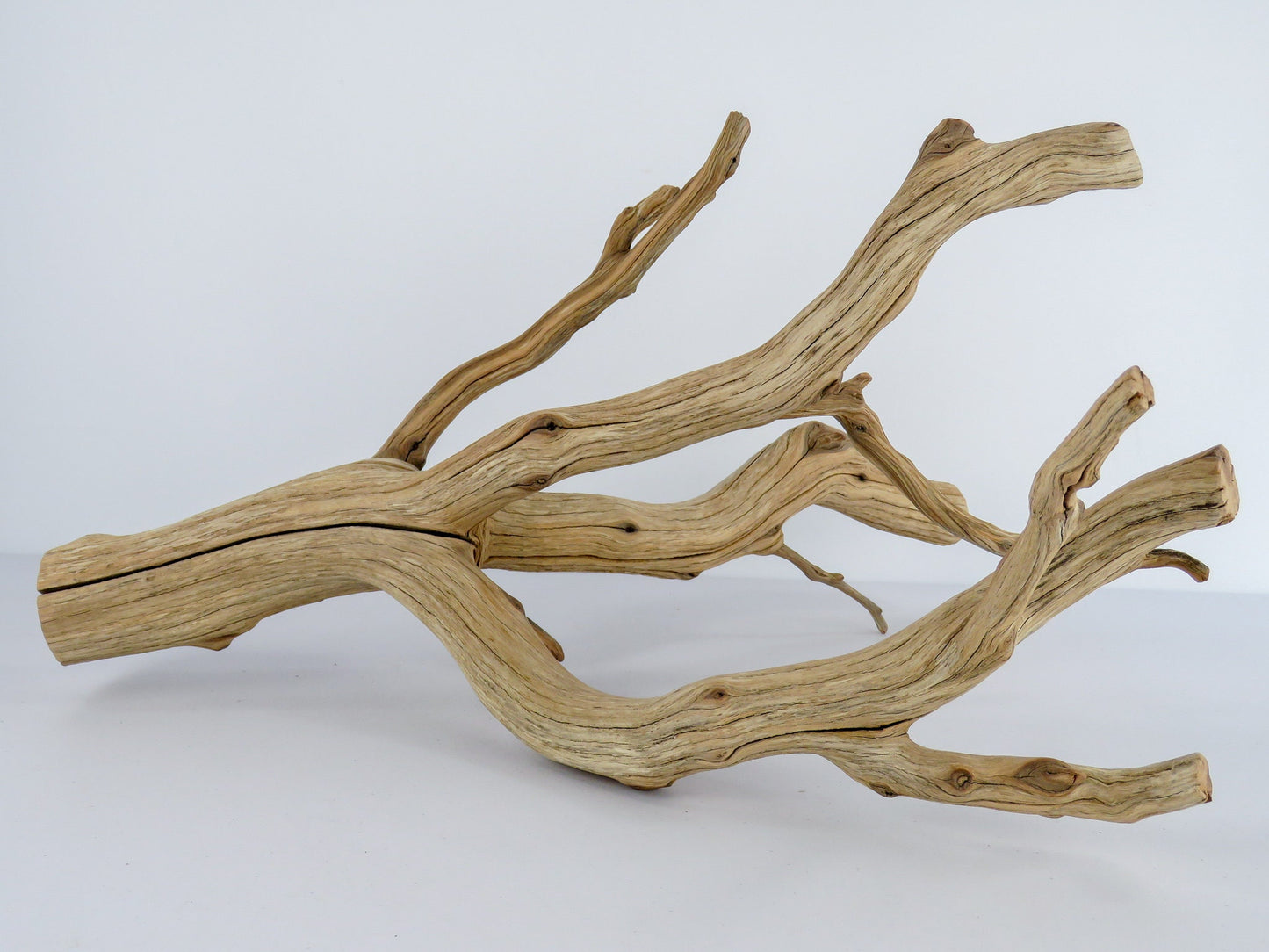 Large Arizona Manzanita Branch (20"), Aquarium Driftwood, Fish Tank Decor, Reptile Tank Decor, Terrarium Decor, Vivarium Decor