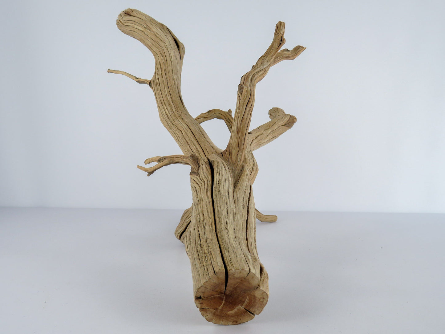 Large Arizona Manzanita Branch (20"), Aquarium Driftwood, Fish Tank Decor, Reptile Tank Decor, Terrarium Decor, Vivarium Decor