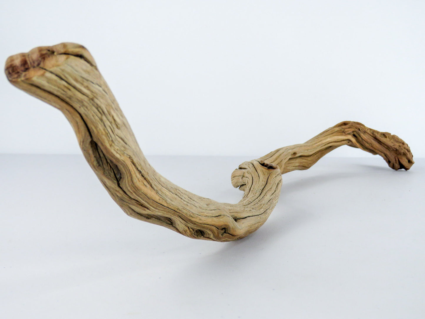 Beach House Gift, (25"), Minimalist Decor, Arched Manzanita Driftwood, Driftwood Art, Driftwood Sculpture, Driftwood Decor,