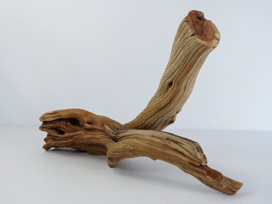 Manzanita Driftwood