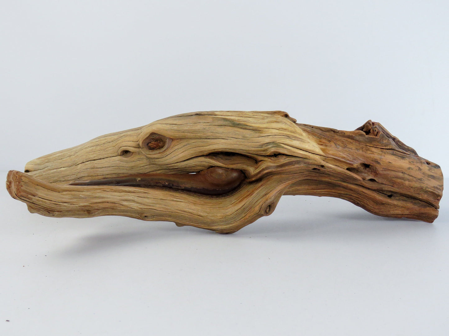 Arizona Manzanita Branch, (16"), Unique Driftwood Decor, Terrarium Decor, Driftwood Art, Manzanita Driftwood, Manzanita Aquarium