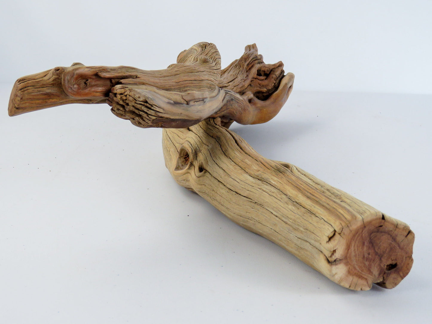 Arizona Manzanita Branch, (16"), Unique Driftwood Decor, Terrarium Decor, Driftwood Art, Manzanita Driftwood, Manzanita Aquarium