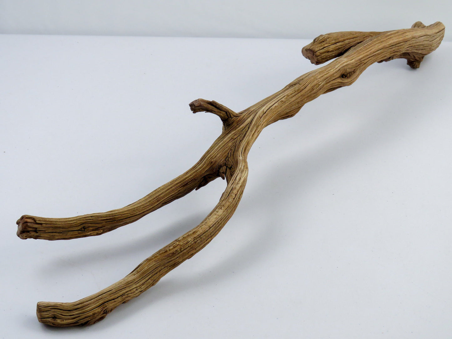 Bearded Dragon Driftwood, (2 pc set), Large Aquarium Driftwood, Reptile Habitat, Vivarium Decor, High Quality Arizona Manzanita Branches,