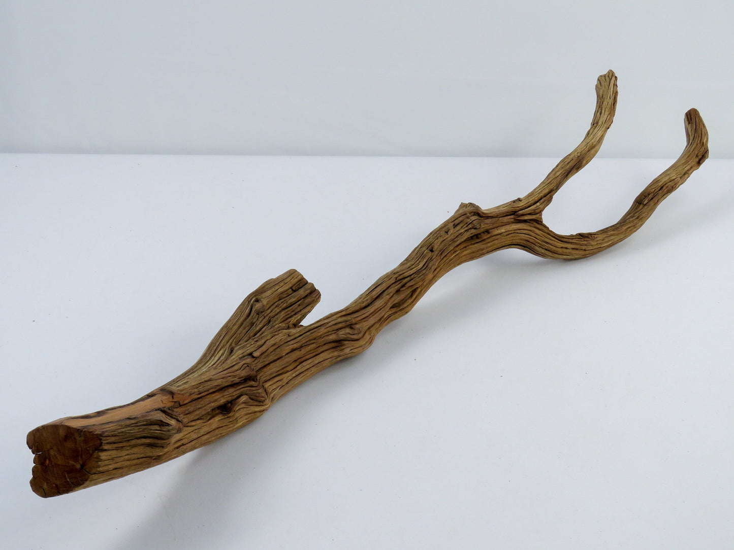Bearded Dragon Driftwood, (2 pc set), Large Aquarium Driftwood, Reptile Habitat, Vivarium Decor, High Quality Arizona Manzanita Branches,