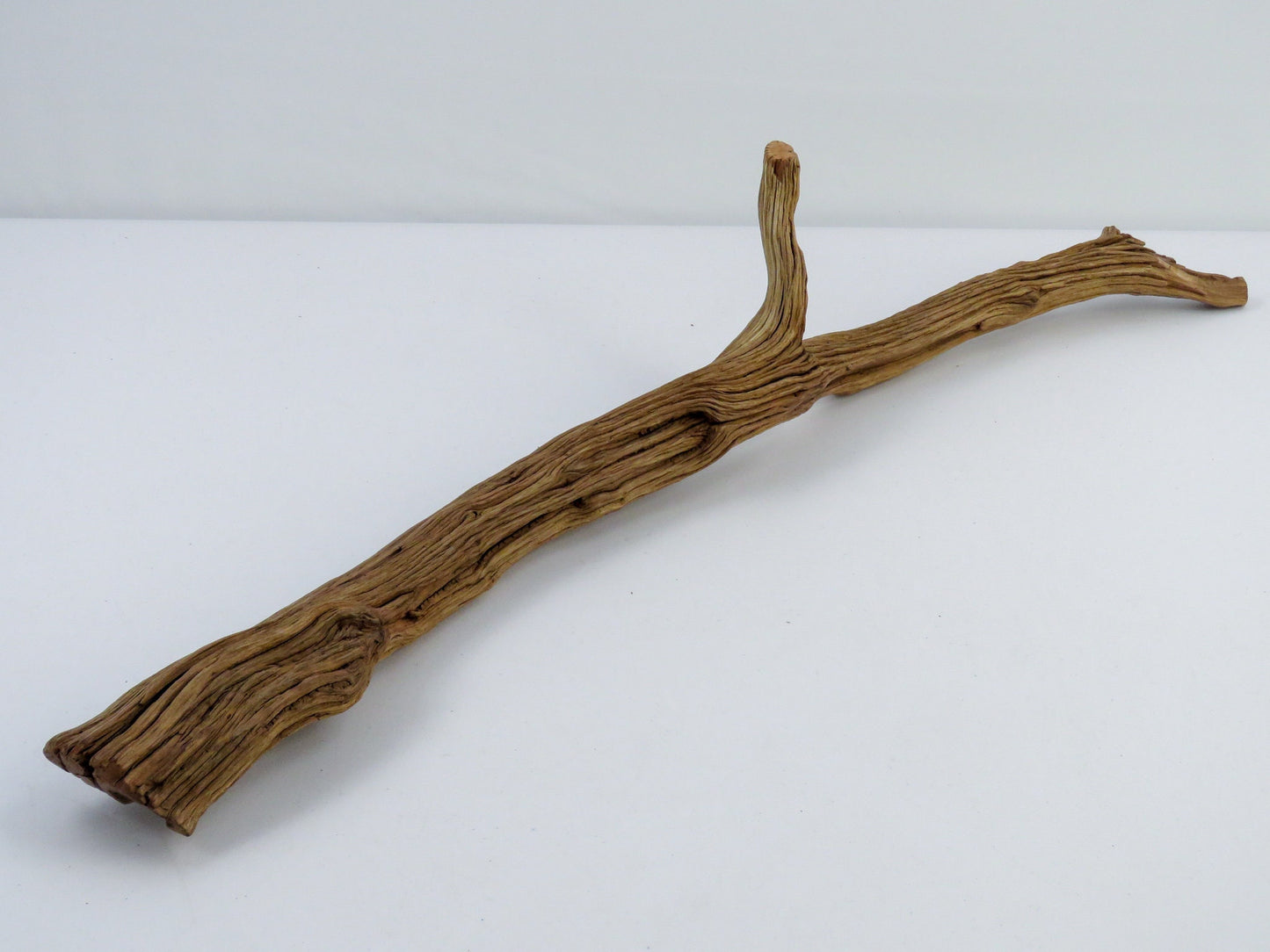 Bearded Dragon Driftwood, (2 pc set), Large Aquarium Driftwood, Reptile Habitat, Vivarium Decor, High Quality Arizona Manzanita Branches,