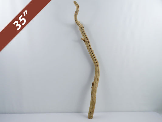 Manzanita Driftwood