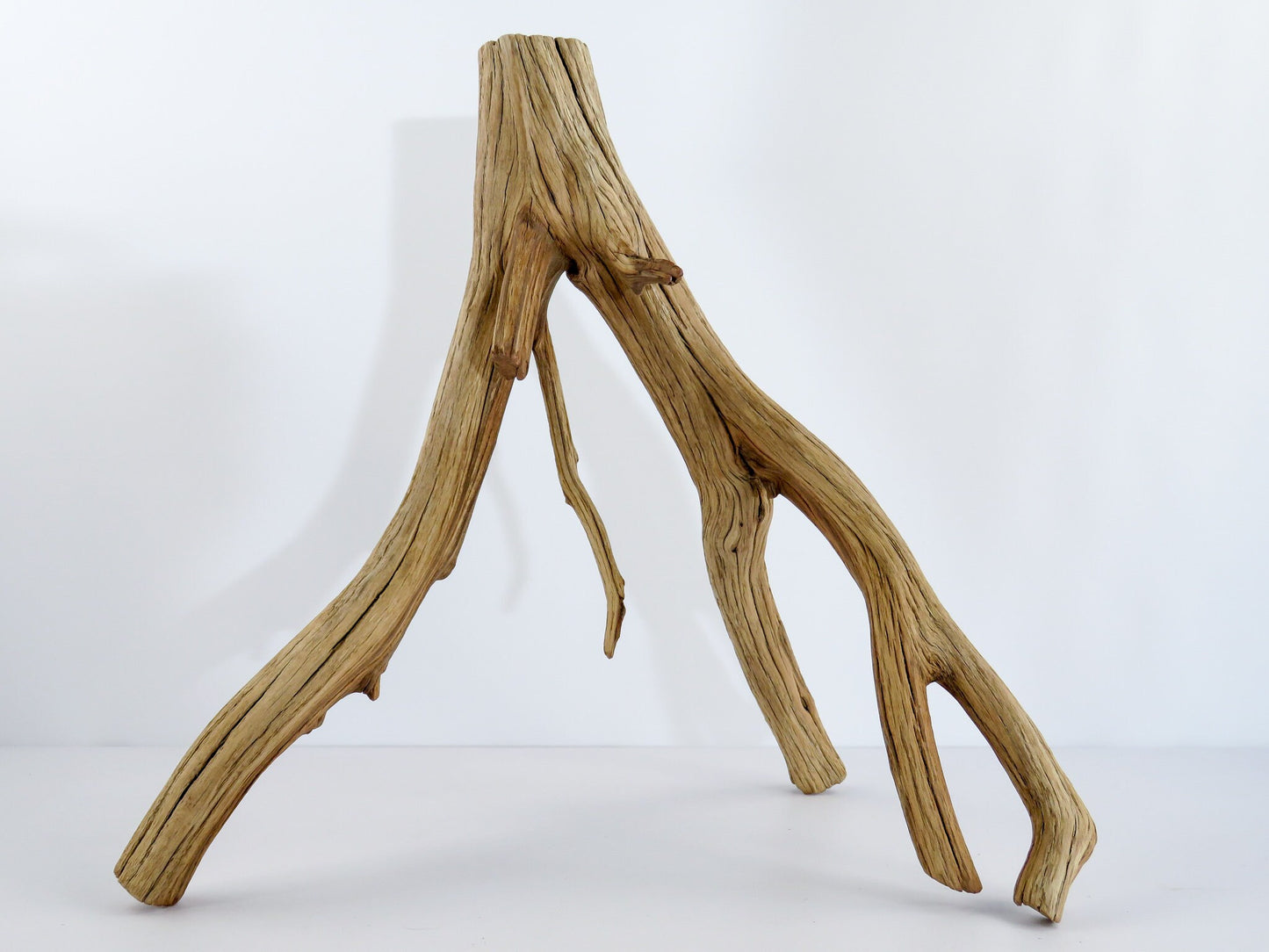 Large Arizona Manzanita Branches, (17"), Aquarium Driftwood, Fish Tank Decor, Reptile Tank Decor, Terrarium Decor, Vivarium Decor