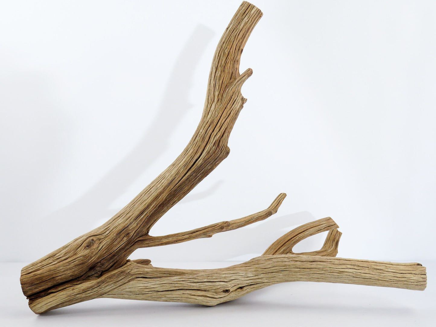 Large Arizona Manzanita Branches, (17"), Aquarium Driftwood, Fish Tank Decor, Reptile Tank Decor, Terrarium Decor, Vivarium Decor