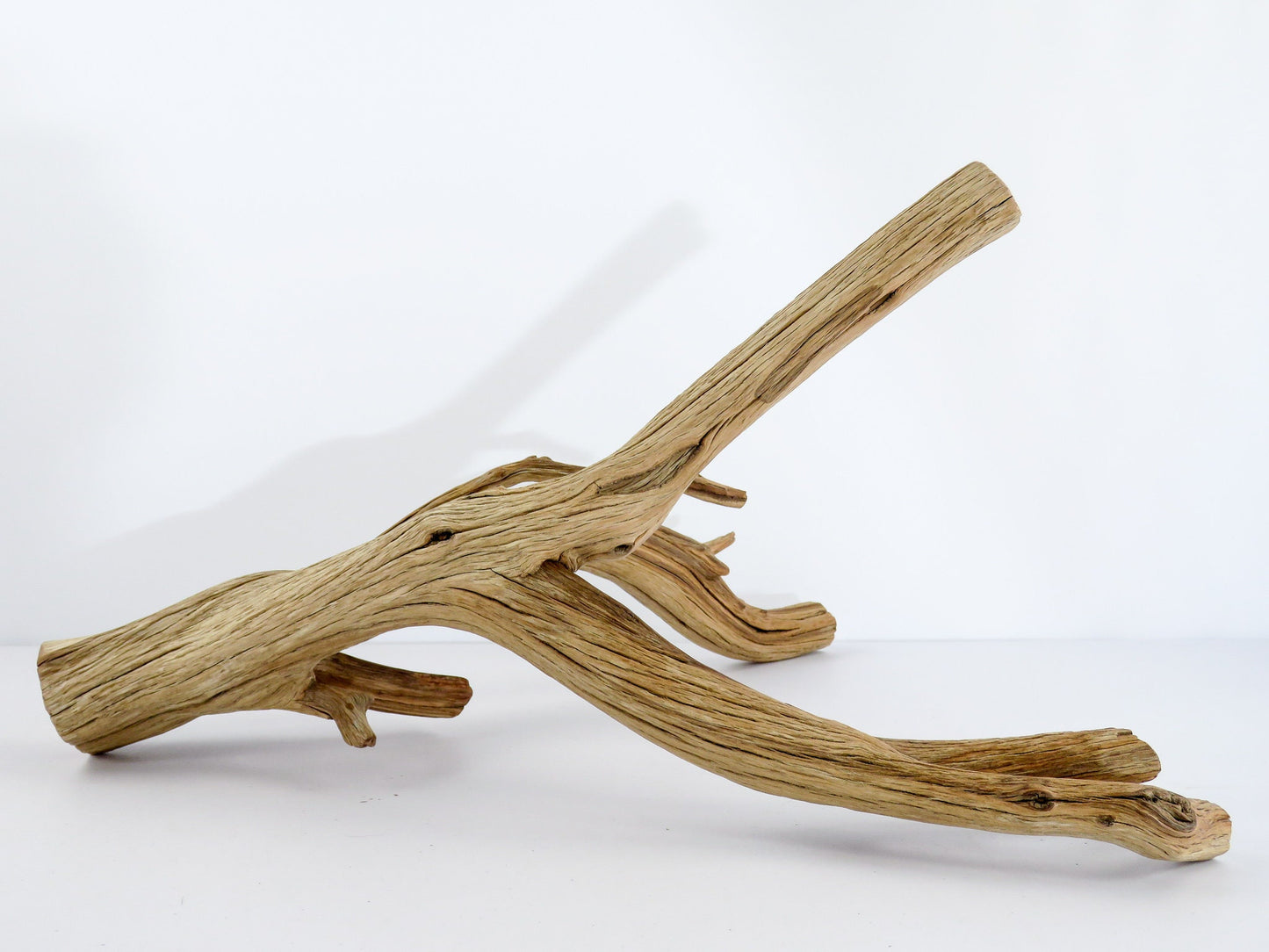 Large Arizona Manzanita Branches, (17"), Aquarium Driftwood, Fish Tank Decor, Reptile Tank Decor, Terrarium Decor, Vivarium Decor