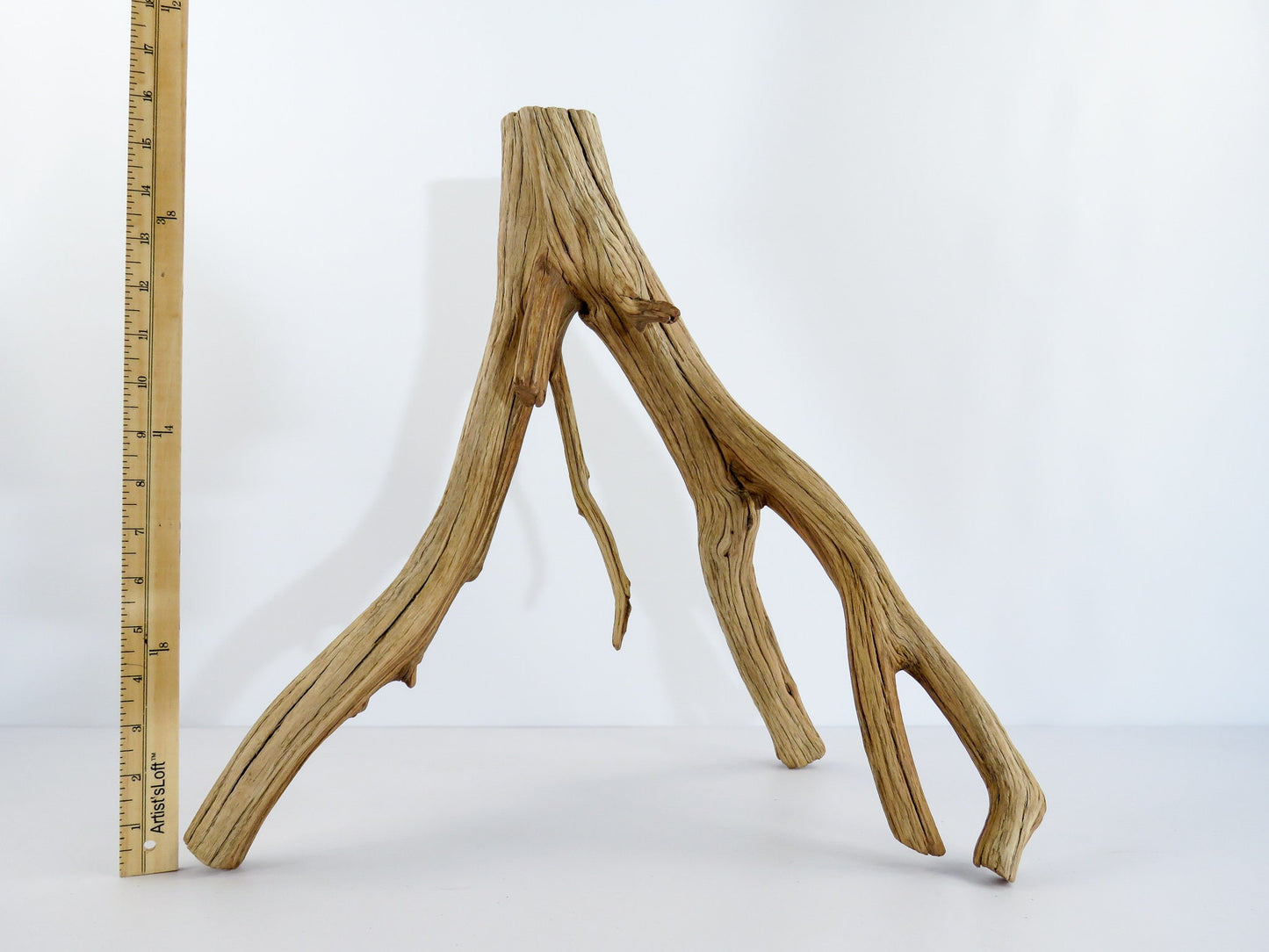 Large Arizona Manzanita Branches, (17"), Aquarium Driftwood, Fish Tank Decor, Reptile Tank Decor, Terrarium Decor, Vivarium Decor