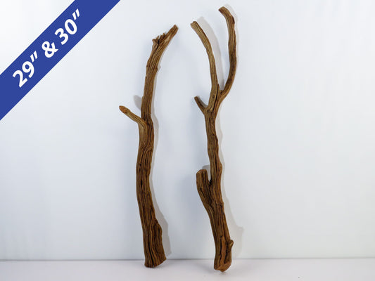 Manzanita Driftwood
