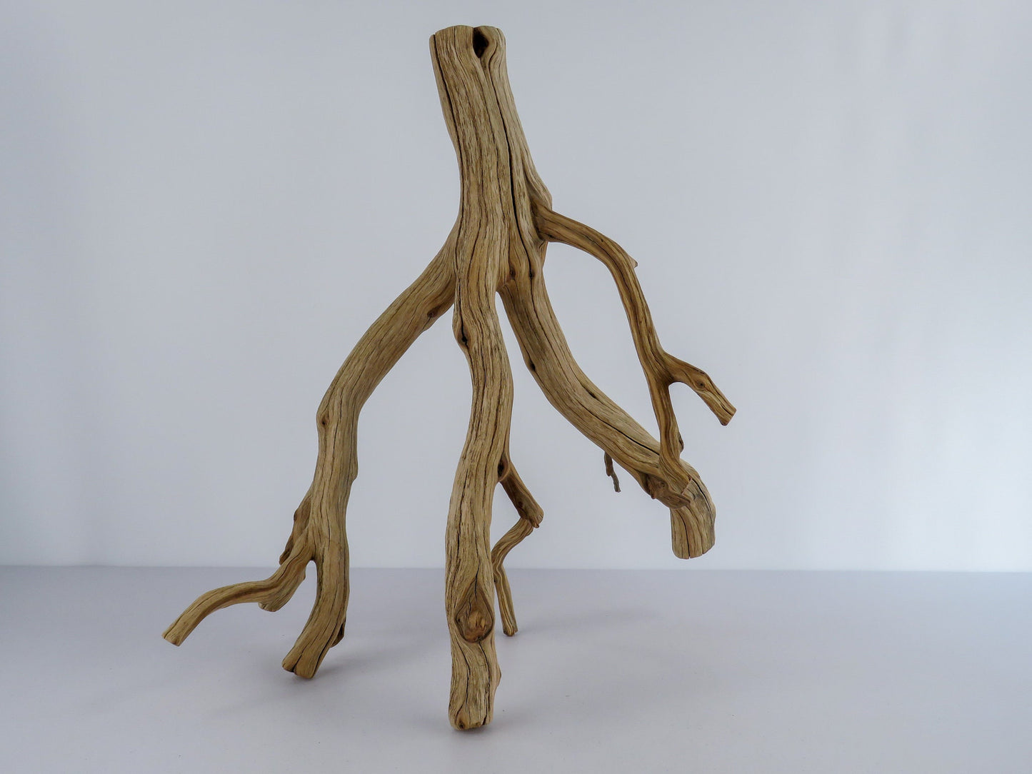 Large Arizona Manzanita Branch (20"), Aquarium Driftwood, Fish Tank Decor, Reptile Tank Decor, Terrarium Decor, Vivarium Decor