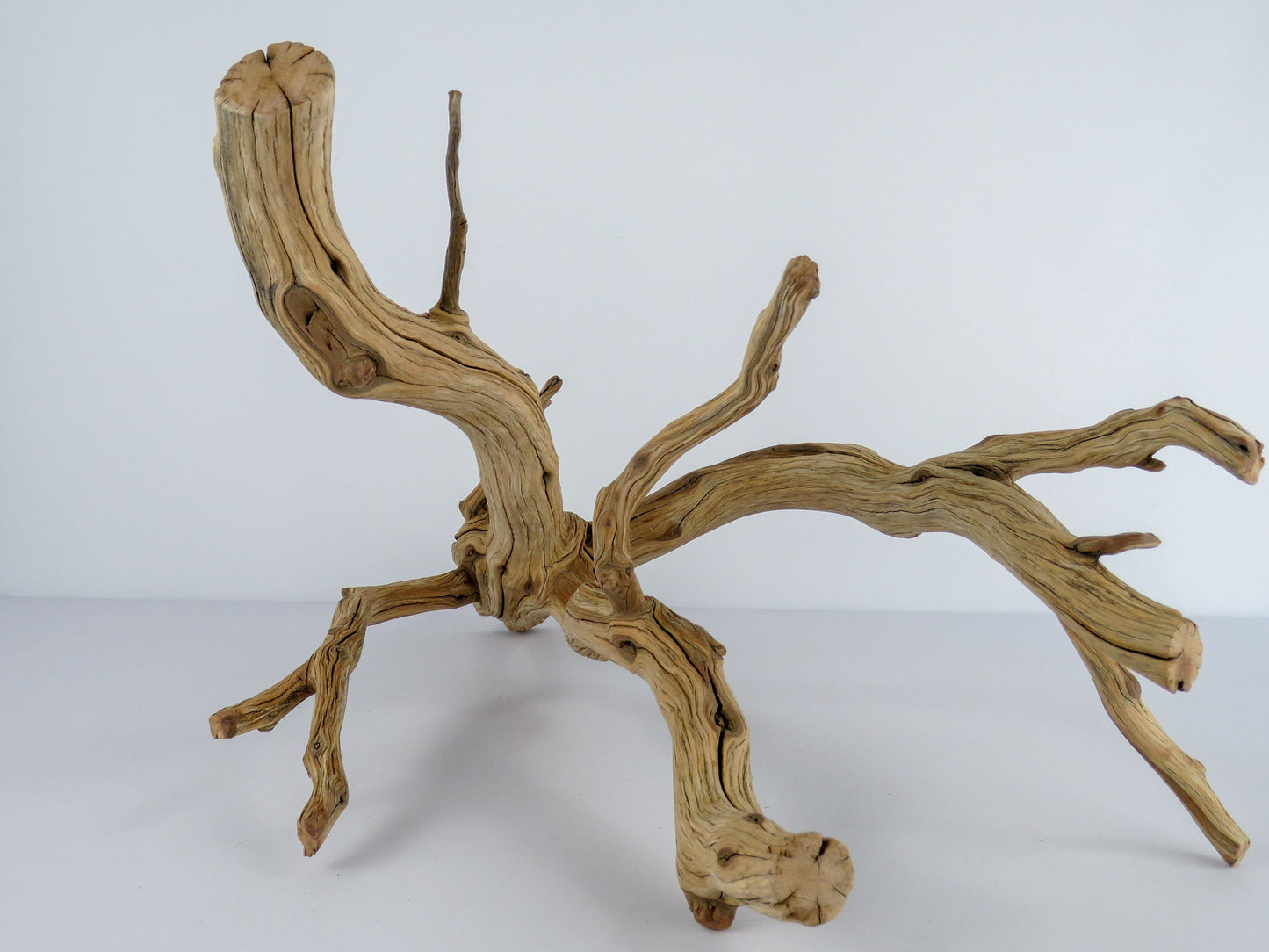 Large Arizona Manzanita Branch (20"), Aquarium Driftwood, Fish Tank Decor, Reptile Tank Decor, Terrarium Decor, Vivarium Decor