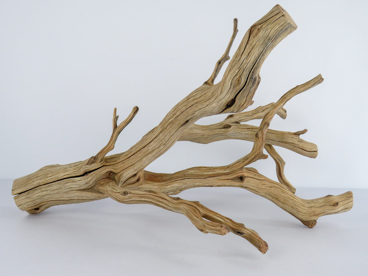 Large Arizona Manzanita Branch (20"), Aquarium Driftwood, Fish Tank Decor, Reptile Tank Decor, Terrarium Decor, Vivarium Decor