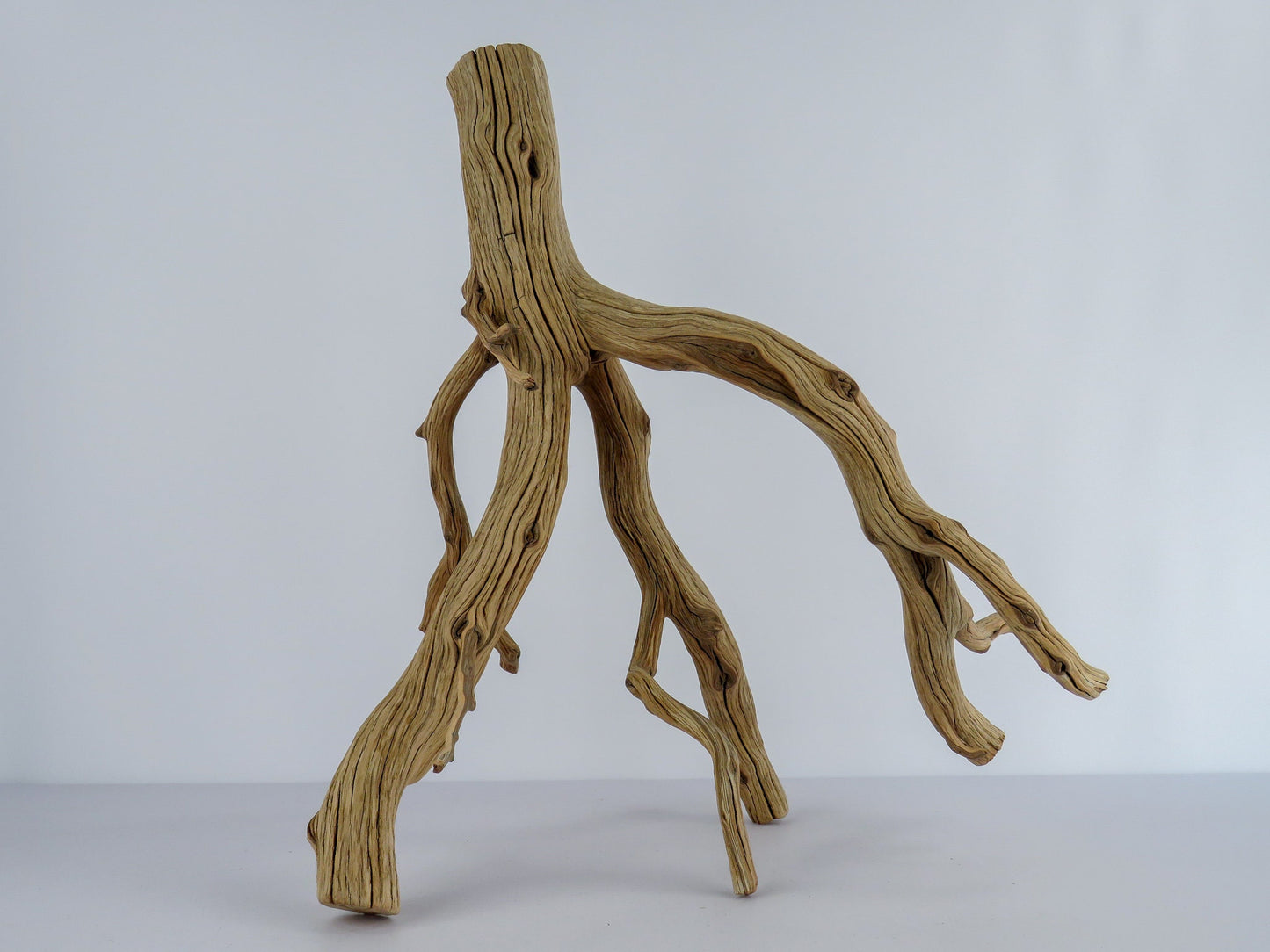 Large Arizona Manzanita Branch (20"), Aquarium Driftwood, Fish Tank Decor, Reptile Tank Decor, Terrarium Decor, Vivarium Decor