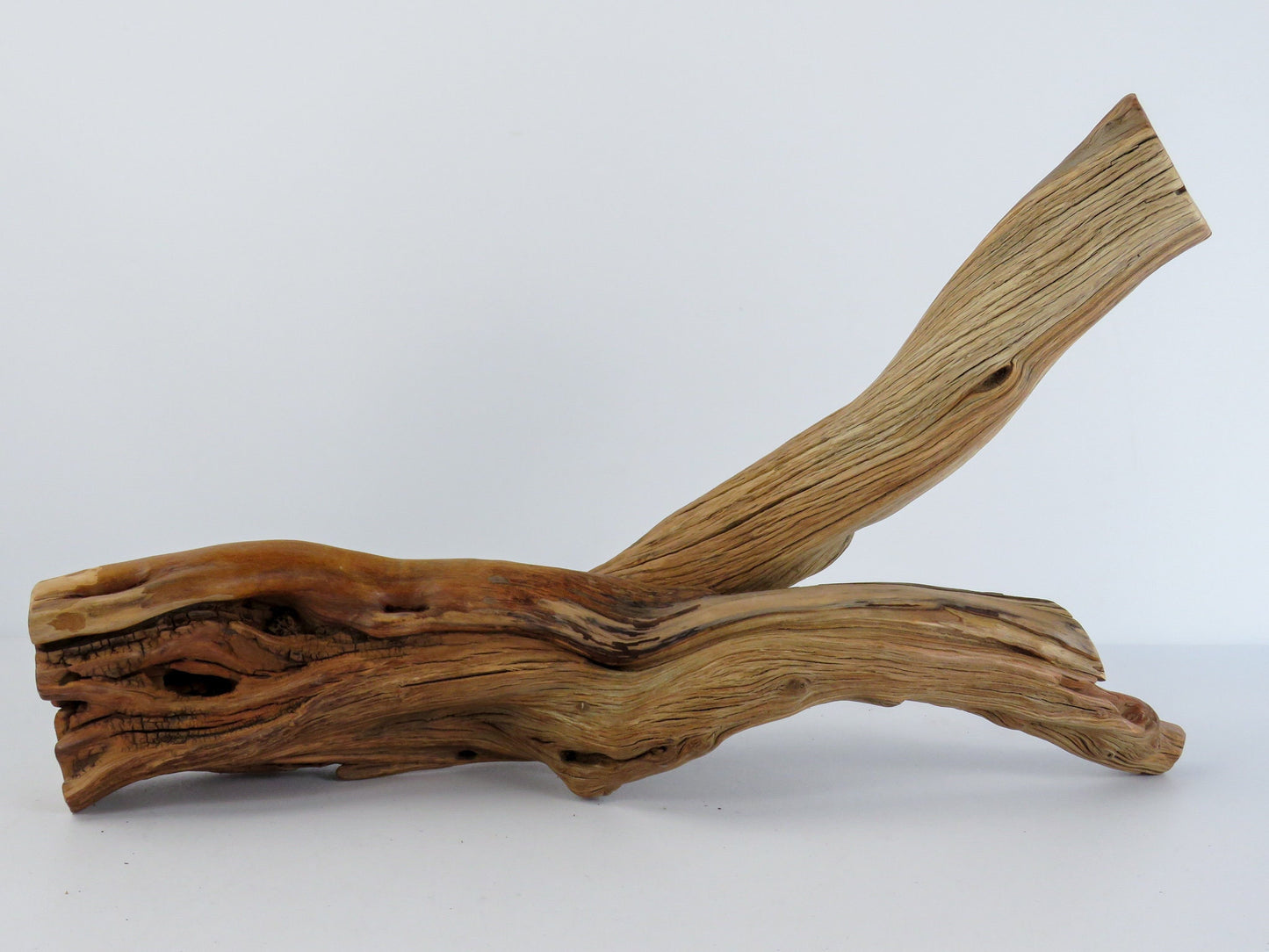 Arizona Manzanita Branch, (16"), Unique Driftwood Decor, Terrarium Decor, Driftwood Art, Manzanita Driftwood, Manzanita Aquarium