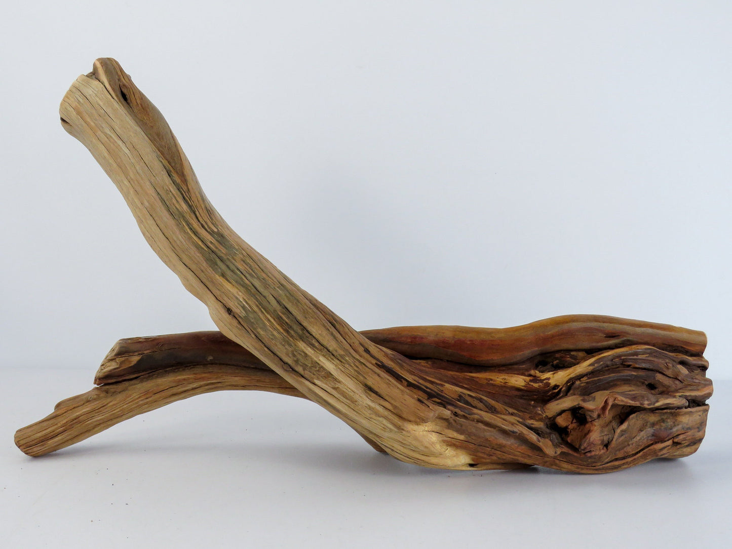 Arizona Manzanita Branch, (16"), Unique Driftwood Decor, Terrarium Decor, Driftwood Art, Manzanita Driftwood, Manzanita Aquarium