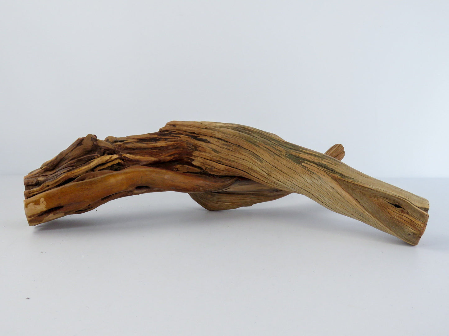 Arizona Manzanita Branch, (16"), Unique Driftwood Decor, Terrarium Decor, Driftwood Art, Manzanita Driftwood, Manzanita Aquarium