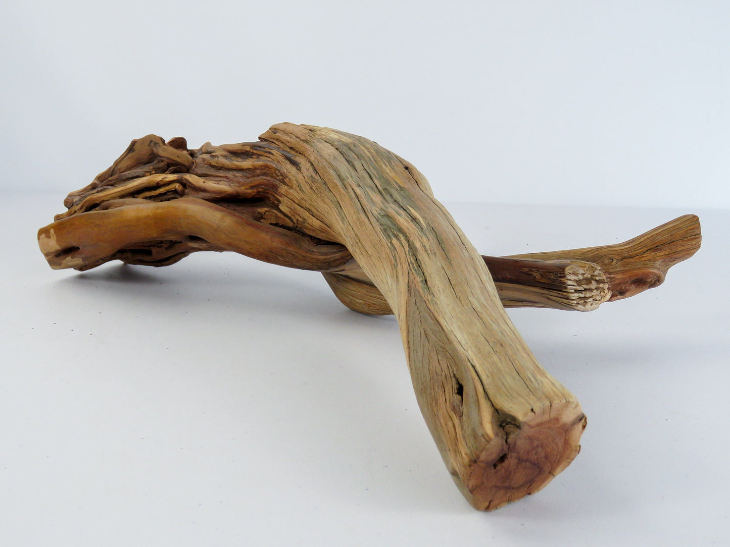 Arizona Manzanita Branch, (16"), Unique Driftwood Decor, Terrarium Decor, Driftwood Art, Manzanita Driftwood, Manzanita Aquarium