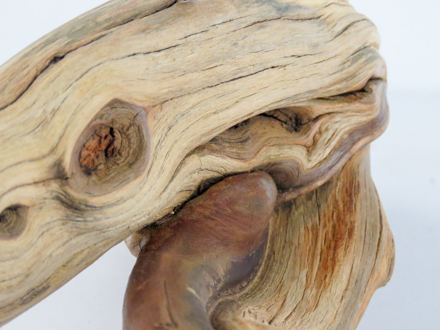Arizona Manzanita Branch, (16"), Unique Driftwood Decor, Terrarium Decor, Driftwood Art, Manzanita Driftwood, Manzanita Aquarium