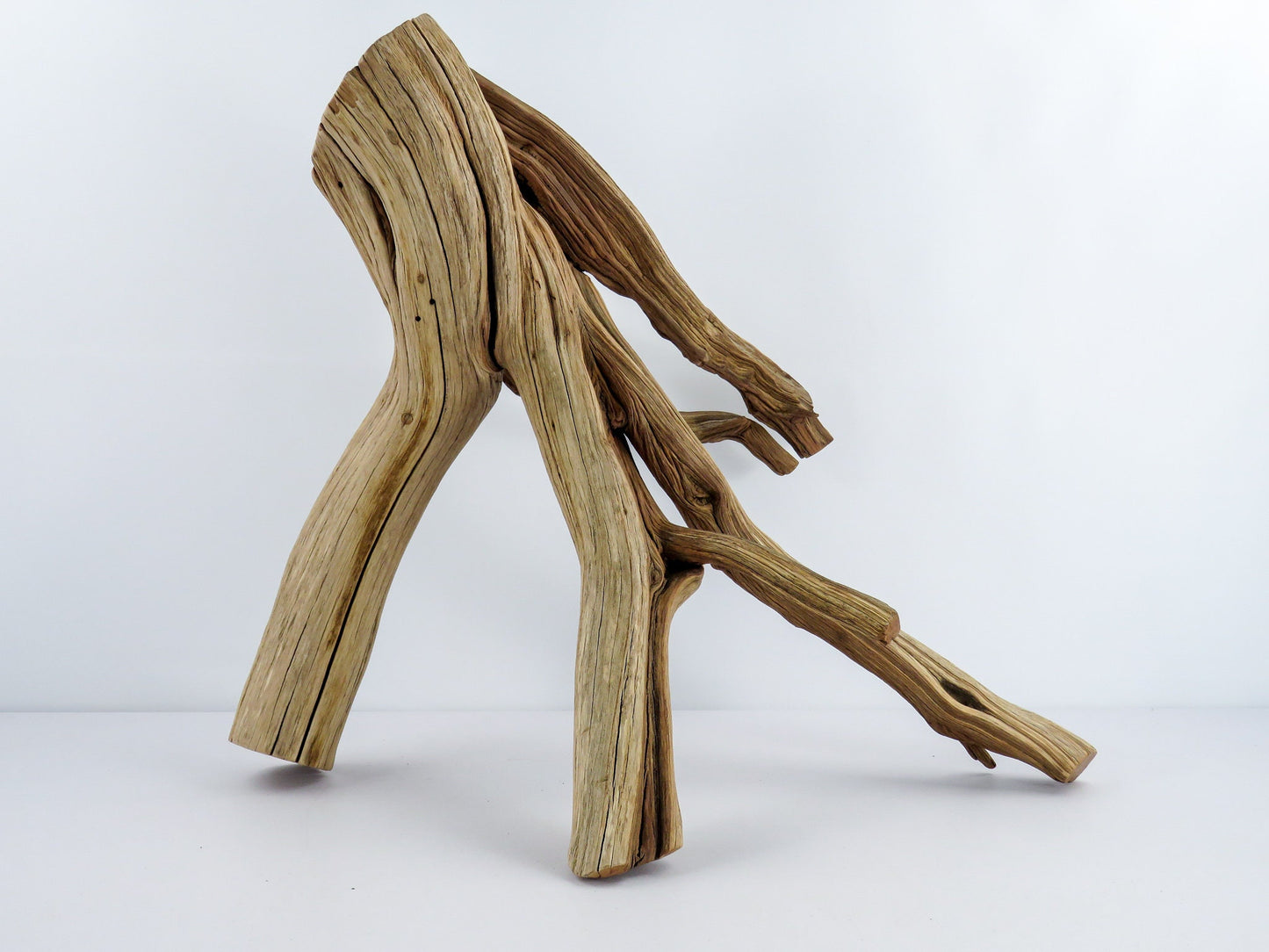 Manzanita Driftwood