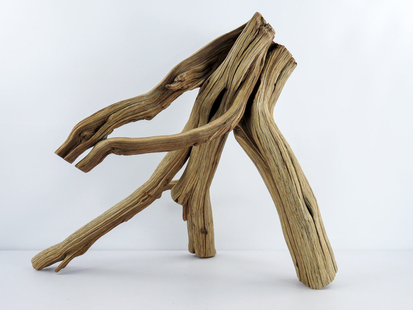 Large Aquarium Driftwood (22") Fish Tank Decor, Reptile Tank Decor, Terrarium Decor, Vivarium Decor, High-Quality Arizona Manzanita Branches