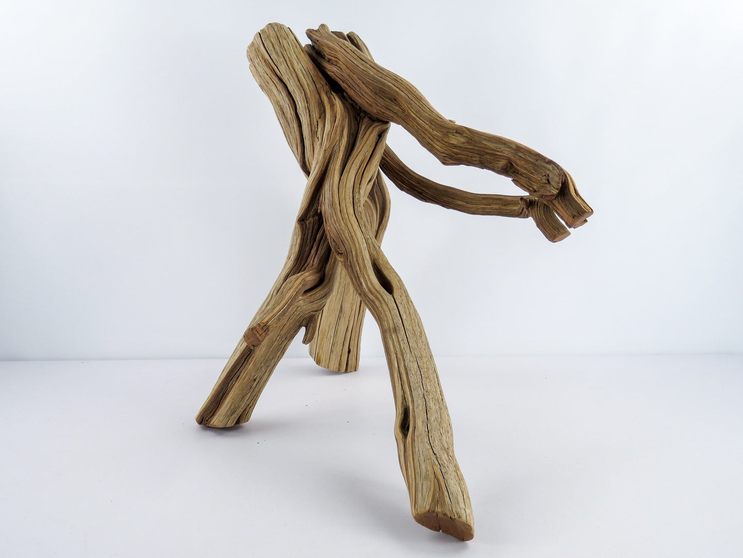Large Aquarium Driftwood (22") Fish Tank Decor, Reptile Tank Decor, Terrarium Decor, Vivarium Decor, High-Quality Arizona Manzanita Branches
