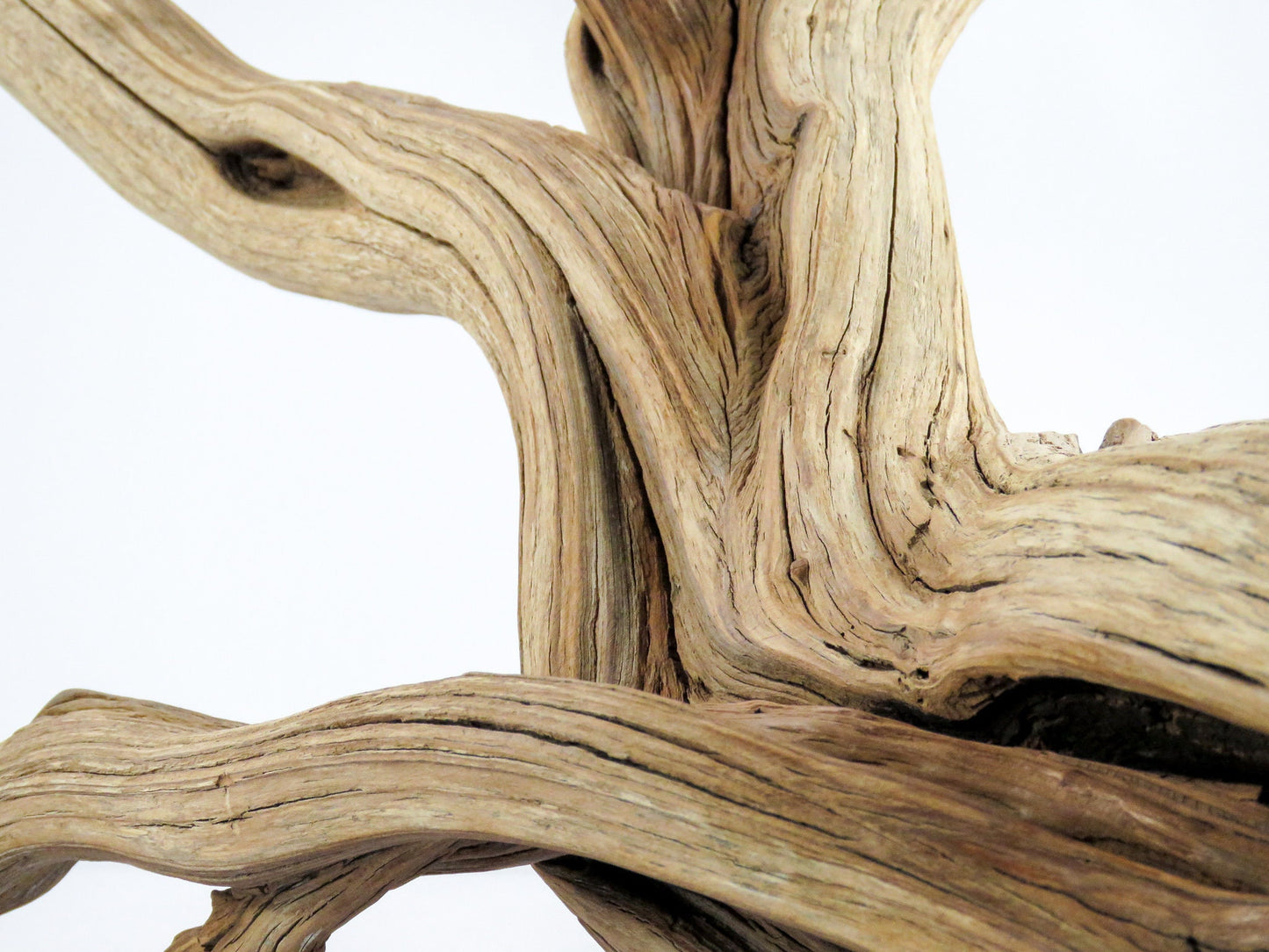 Large Aquarium Driftwood (22") Fish Tank Decor, Reptile Tank Decor, Terrarium Decor, Vivarium Decor, High-Quality Arizona Manzanita Branches