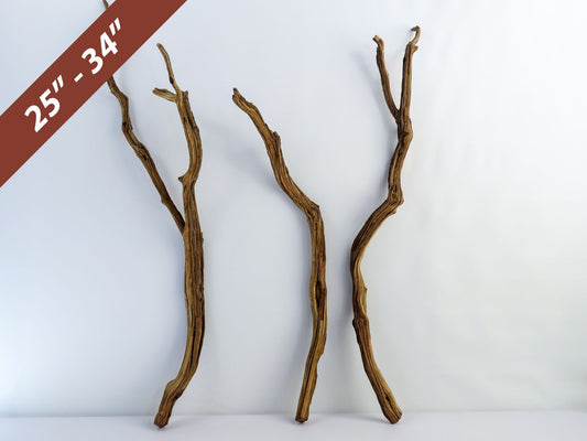 Manzanita Driftwood