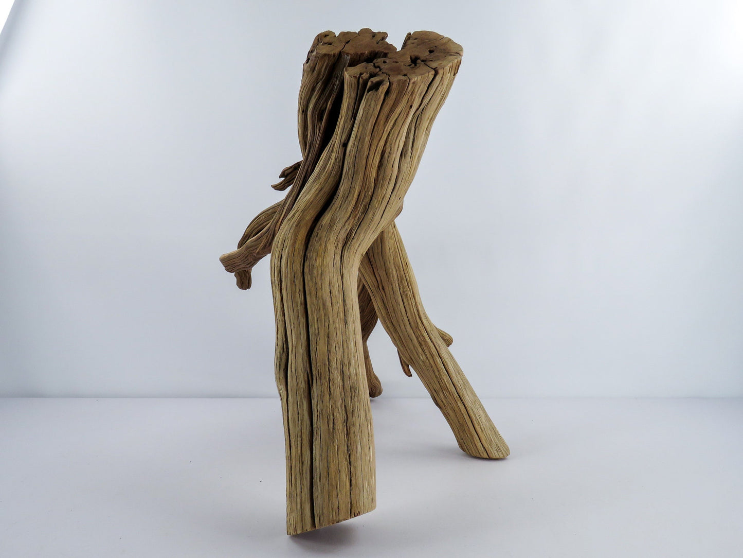 Large Aquarium Driftwood (22") Fish Tank Decor, Reptile Tank Decor, Terrarium Decor, Vivarium Decor, High-Quality Arizona Manzanita Branches