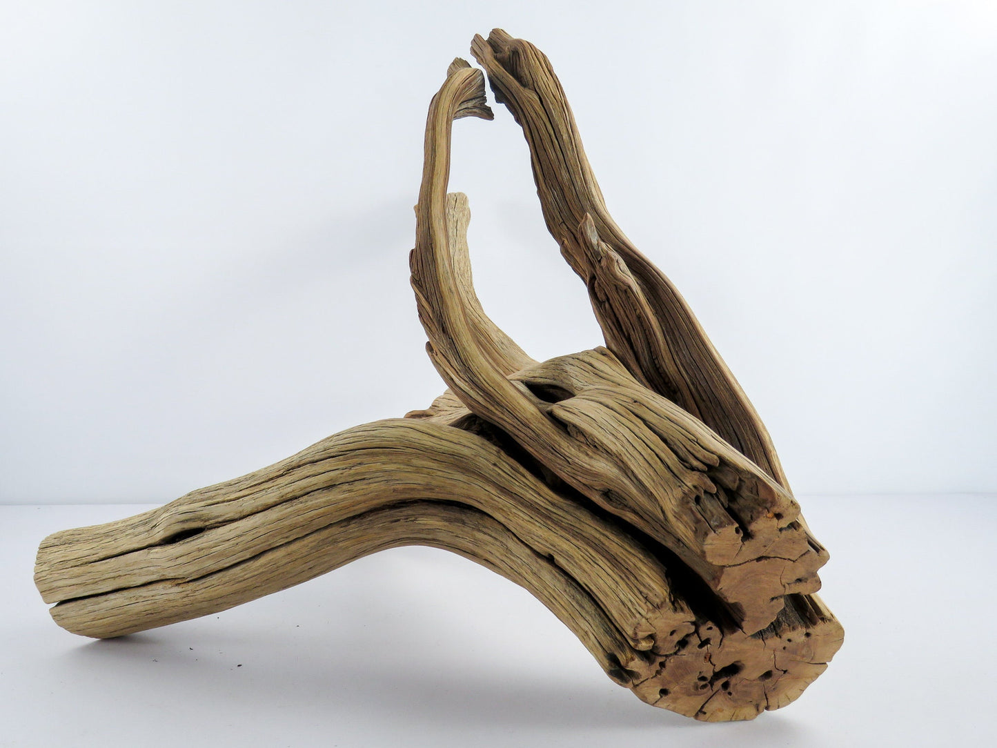 Large Aquarium Driftwood (22") Fish Tank Decor, Reptile Tank Decor, Terrarium Decor, Vivarium Decor, High-Quality Arizona Manzanita Branches