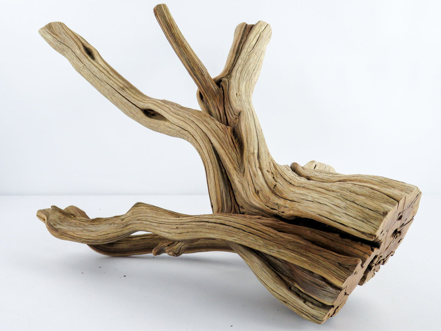 Large Aquarium Driftwood (22") Fish Tank Decor, Reptile Tank Decor, Terrarium Decor, Vivarium Decor, High-Quality Arizona Manzanita Branches