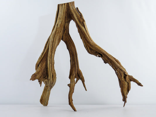 Manzanita Driftwood