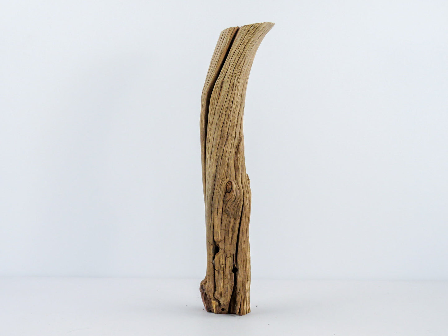 Smooth Manzanita Aquarium Driftwood log, (16"), Reptile Terrarium, Driftwood Decor, Vivarium Wood, High-Quality Arizona Manzanita Branches